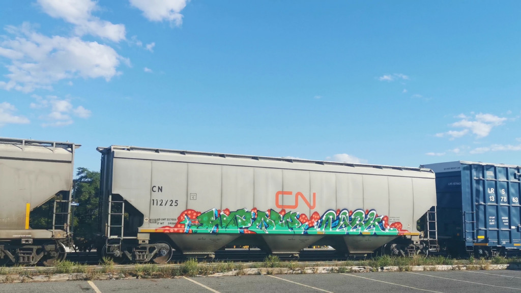 CN 112725